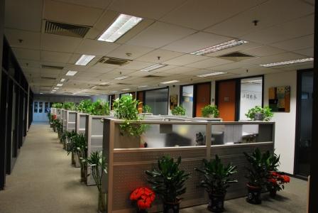 ��ŵ�ſ�